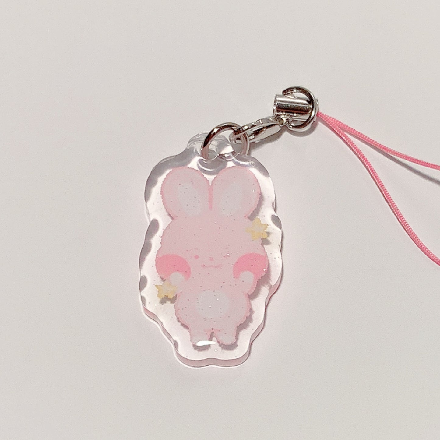 aniteez charms