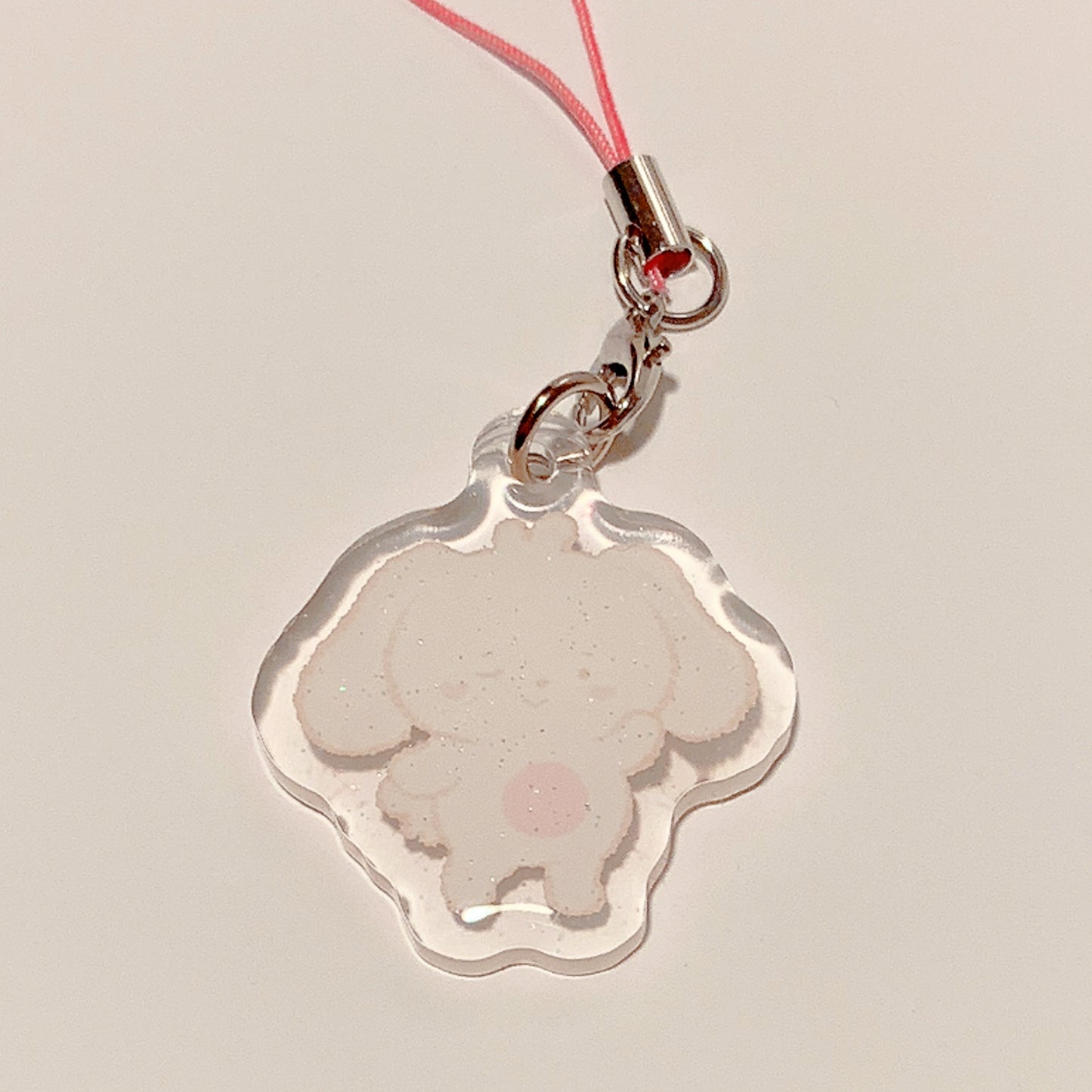 aniteez charms