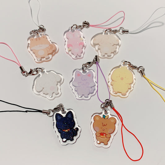 aniteez charms