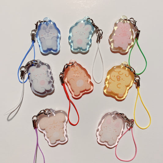 skzoo charms