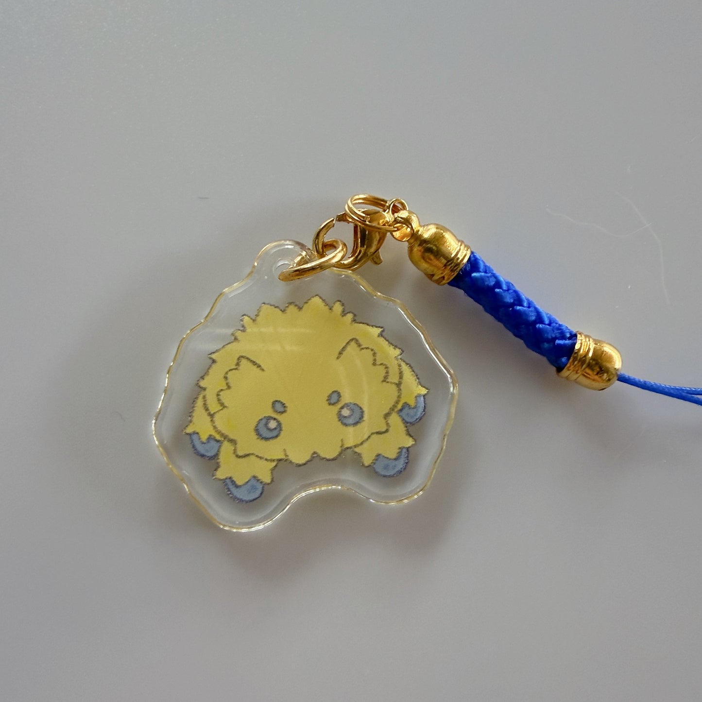 pokemon charms