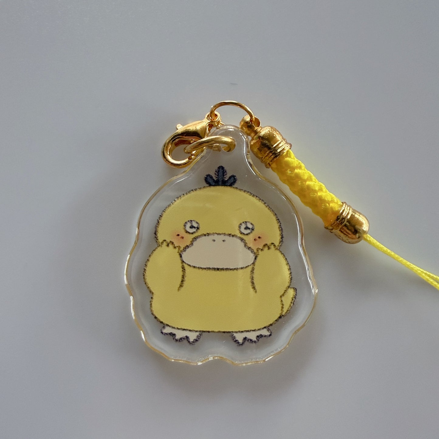 pokemon charms