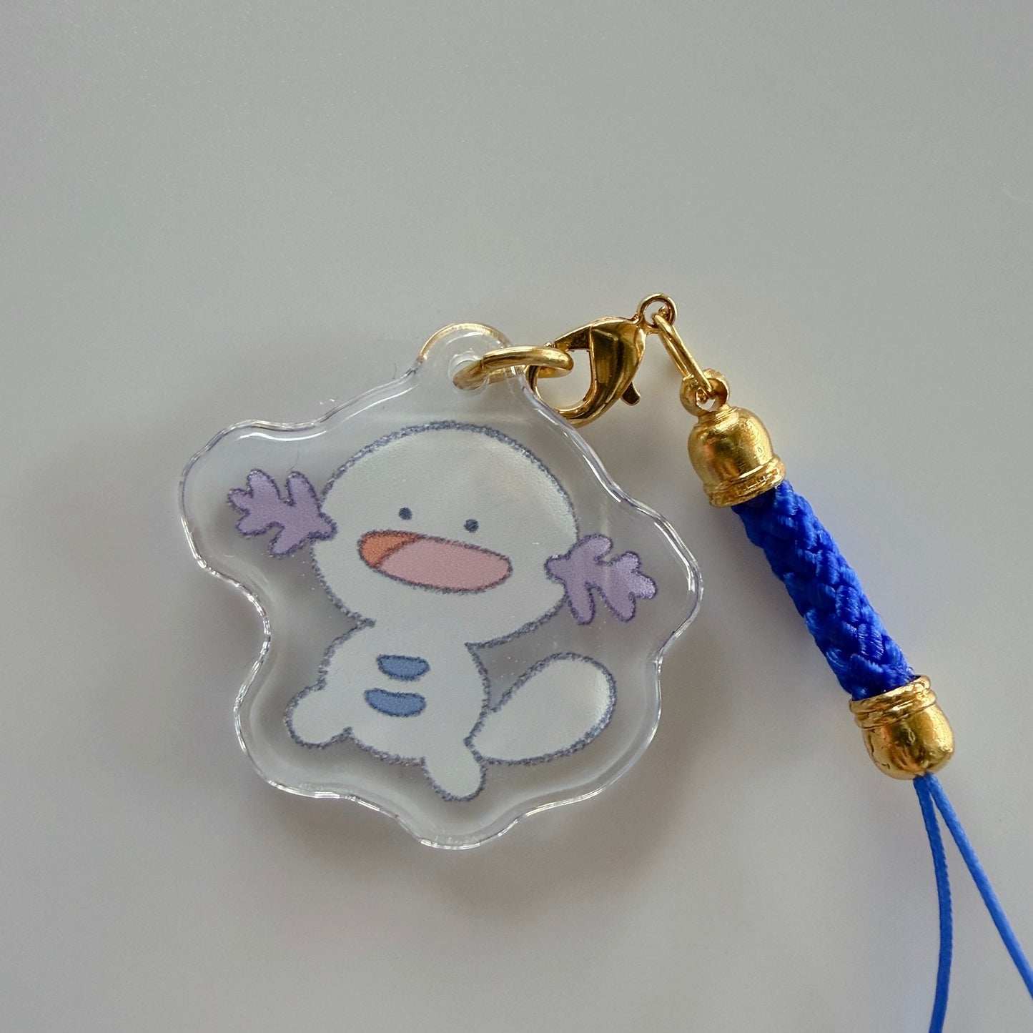 pokemon charms